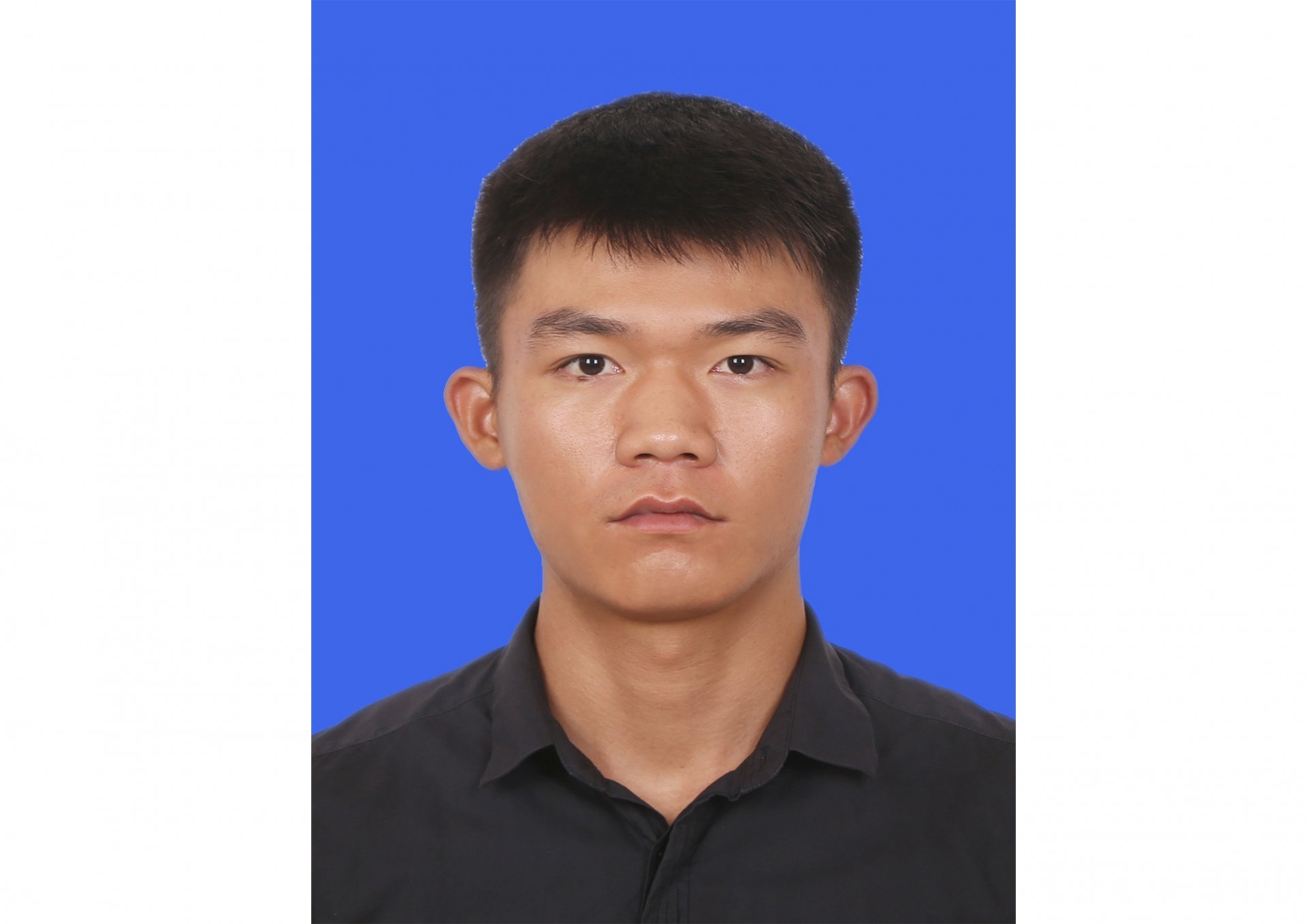 栏目用于追新